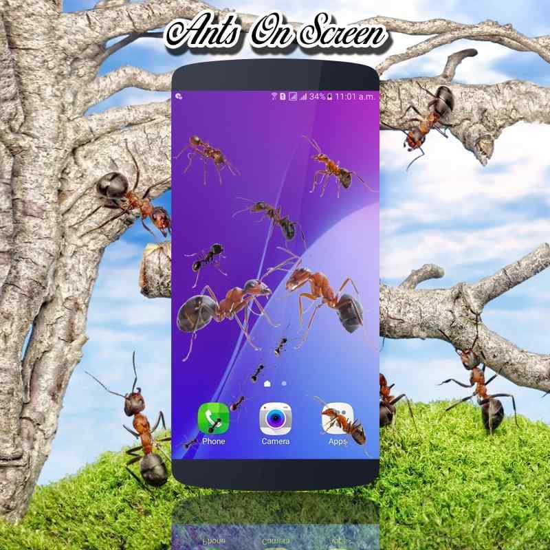 Emulate Android APK Ants on screen | Prank app Emulate Android APK Ants on screen | Prank app